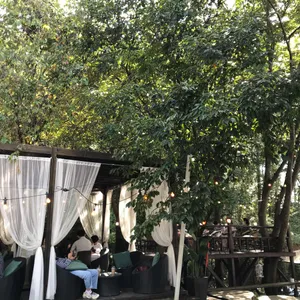 에브리선데이 리뷰 사진