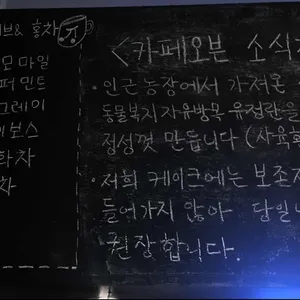 카페 오븐 리뷰 사진