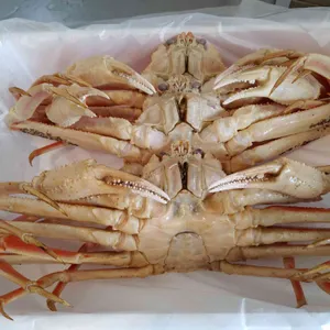 기장명품대게 사진