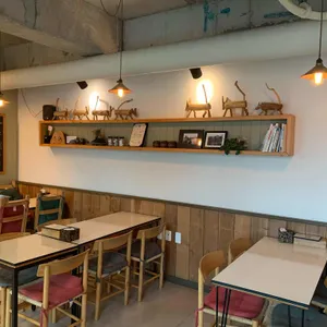 코시롱 리뷰 사진