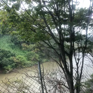 불탄소가든 리뷰 사진