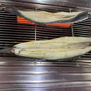 암사민물장어 사진