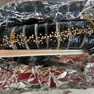 꽁지네김밥 사진