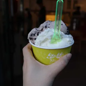 펠리치따 사진