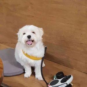 오케키 리뷰 사진