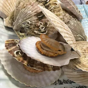미도파횟집 리뷰 사진