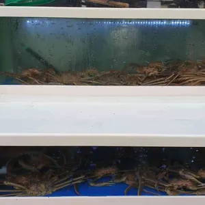 홍복씨푸드 리뷰 사진