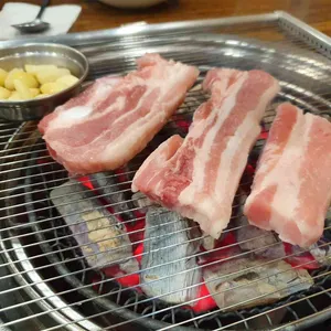 다릿골소나무 사진