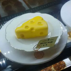 팀버 사진
