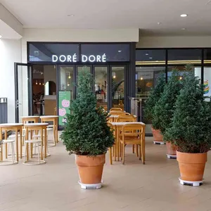 도레도레 리뷰 사진