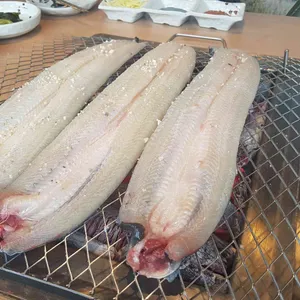 해품장팔팔장어 사진