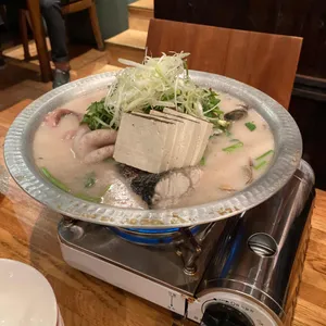 사카나 사진