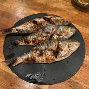 사카나 사진
