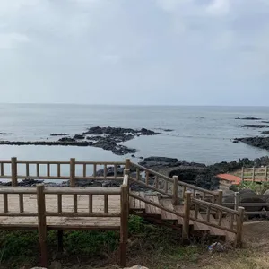 ALEGRE SUDA 리뷰 사진
