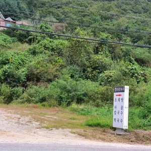 청산녹수 리뷰 사진