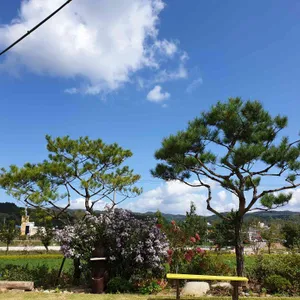 까페지수 인 봉평 리뷰 사진
