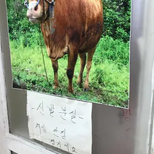 금산곰탕 리뷰 사진