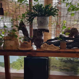 빠끔살이 리뷰 사진