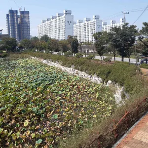 서해바다 대표 사진