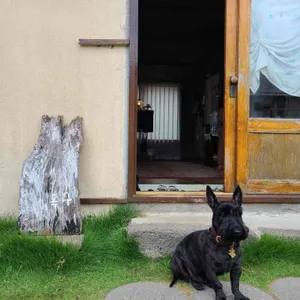 골목카페옥수 리뷰 사진