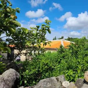 골목카페옥수 리뷰 사진