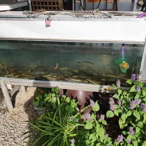 논골가마솥추어탕 리뷰 사진