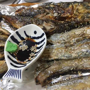 솔밭 사진