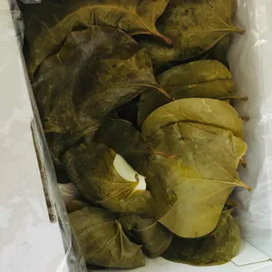 다시식당 리뷰 사진