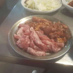 신마포갈매기 사진