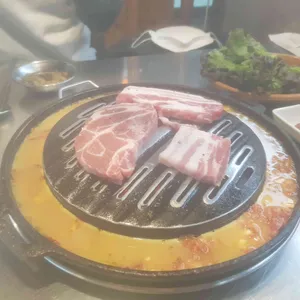 신마포갈매기 사진