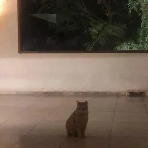 신기커피영도 리뷰 사진