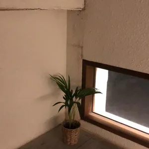 신기커피영도 리뷰 사진