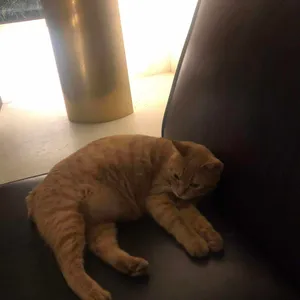 신기커피영도 리뷰 사진