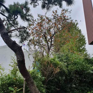 카페감 리뷰 사진