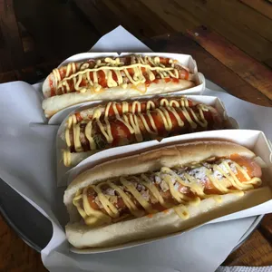 서프독 사진