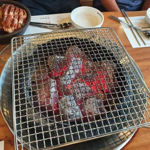 금송아지 사진