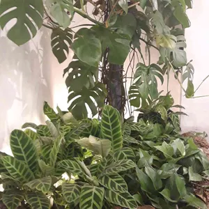 랑데자뷰 리뷰 사진