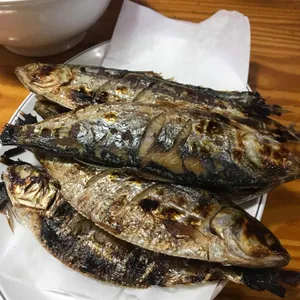 오징어나라  사진