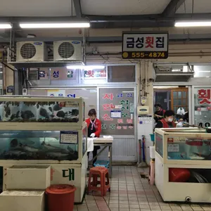금성삼천포횟집 리뷰 사진