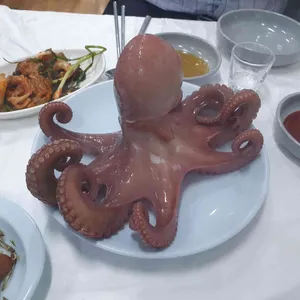 여수집 사진