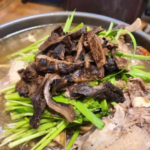 향나무촌 사진