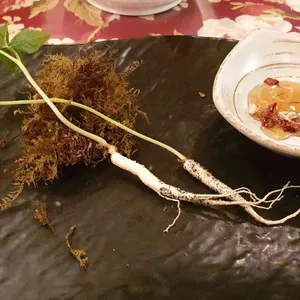 산이화 한정식 사진