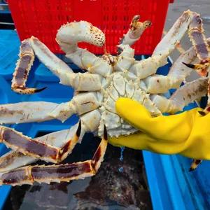 성진활어 대표 사진