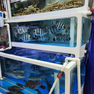 성진활어 대표 사진