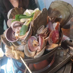물찬조개 사진
