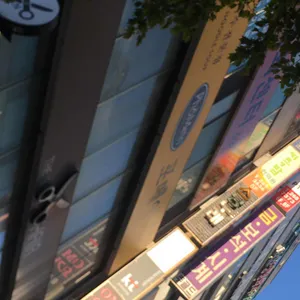 포메인 대표 사진