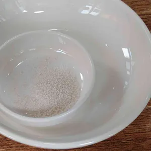 백년토종삼계탕  사진