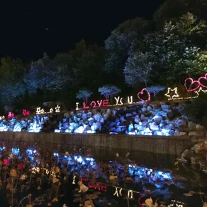 포레스트 리뷰 사진