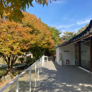 문릿 리뷰 사진