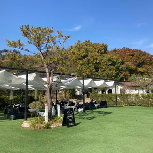 문릿 리뷰 사진